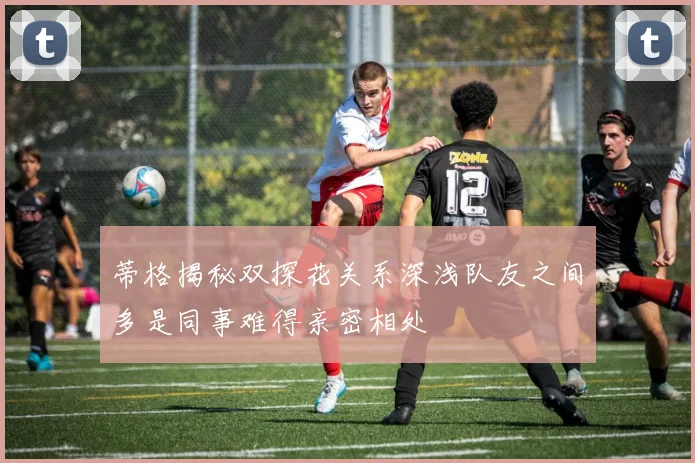 蒂格揭秘双探花关系深浅队友之间多是同事难得亲密相处